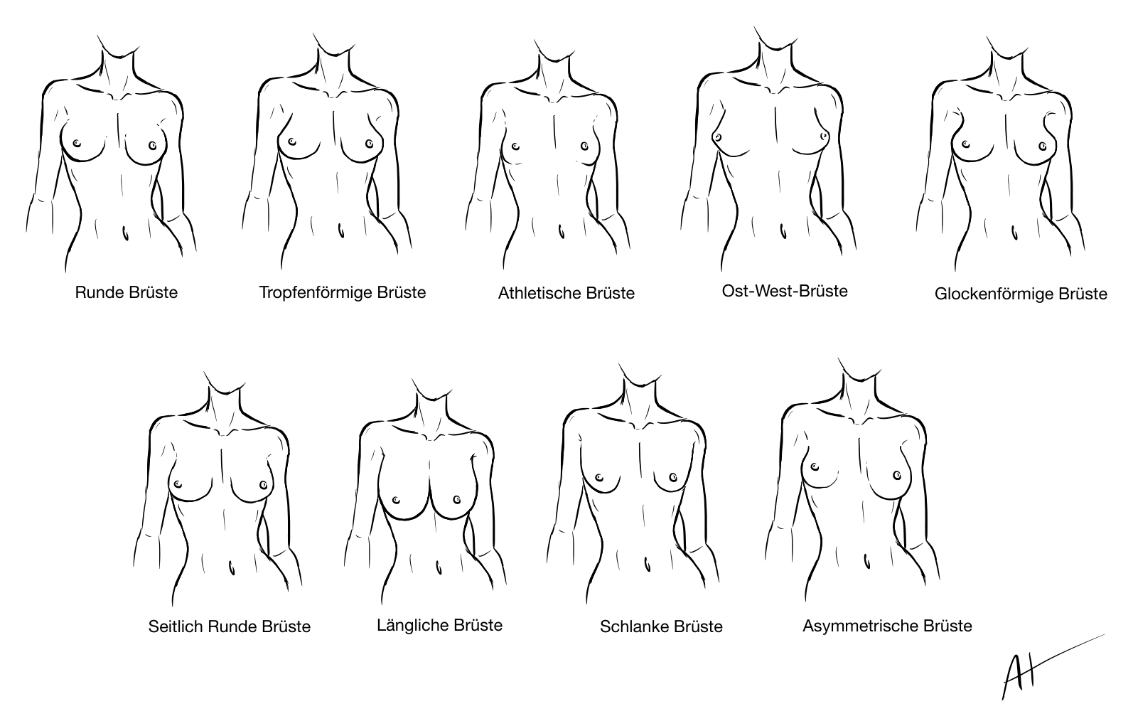 Skizze: Brustformen im Überblick – runde, tropfenförmige, athletische, Ost-West-, glockenförmige, seitlich runde, längliche, schlaffe und asymmetrische Brüste
